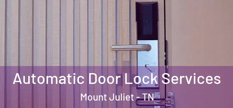  Automatic Door Lock Services Mount Juliet - TN