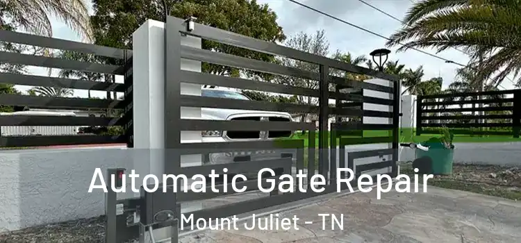  Automatic Gate Repair Mount Juliet - TN