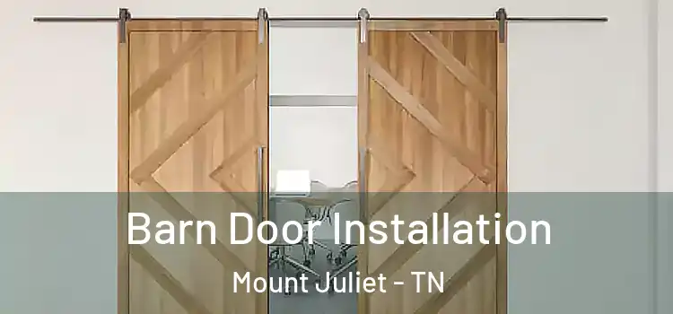  Barn Door Installation Mount Juliet - TN