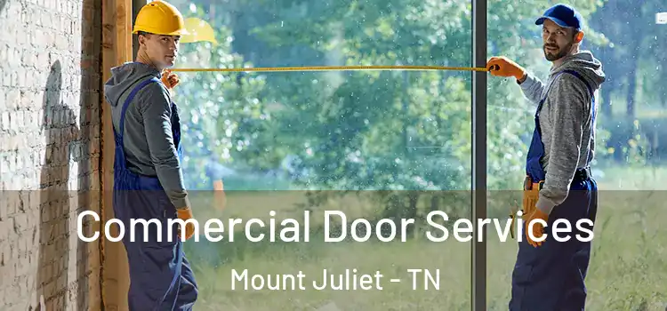  Commercial Door Services Mount Juliet - TN