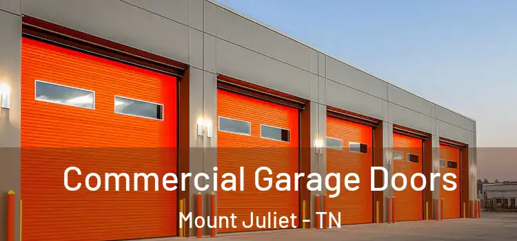  Commercial Garage Doors Mount Juliet - TN