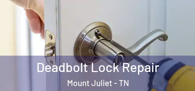  Deadbolt Lock Repair Mount Juliet - TN