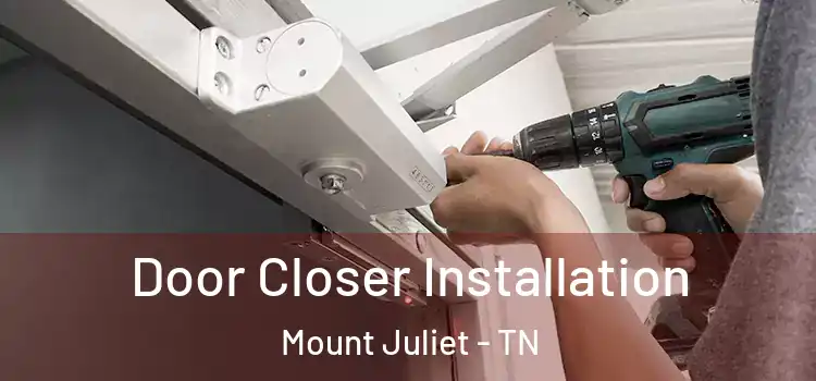 Door Closer Installation Mount Juliet - TN