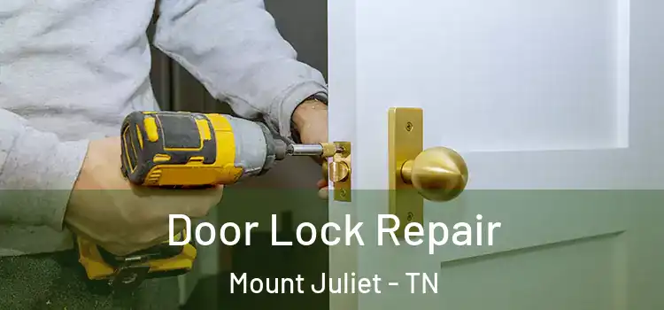  Door Lock Repair Mount Juliet - TN