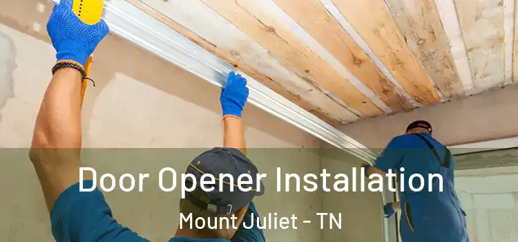  Door Opener Installation Mount Juliet - TN