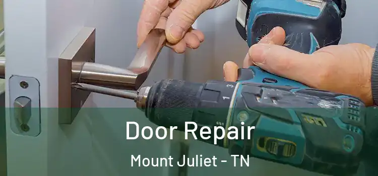  Door Repair Mount Juliet - TN