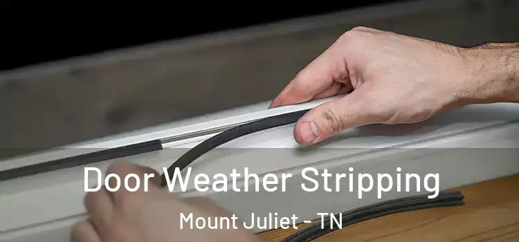  Door Weather Stripping Mount Juliet - TN