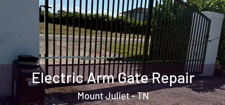 Electric Arm Gate Repair Mount Juliet - TN