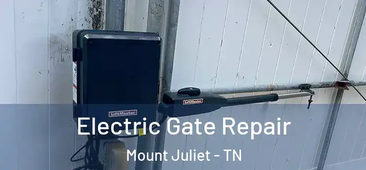  Electric Gate Repair Mount Juliet - TN
