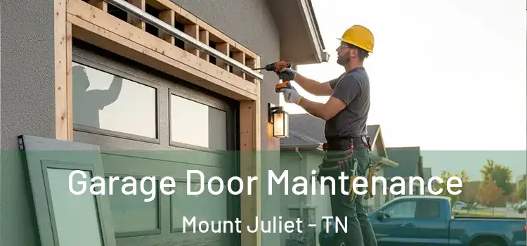  Garage Door Maintenance Mount Juliet - TN