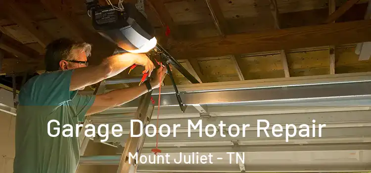  Garage Door Motor Repair Mount Juliet - TN