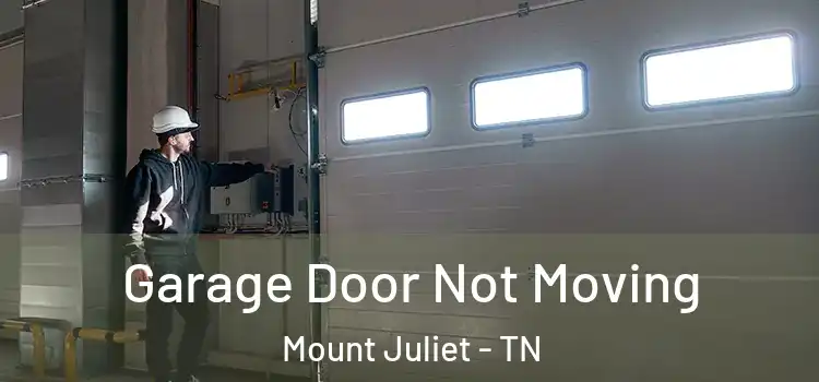  Garage Door Not Moving Mount Juliet - TN