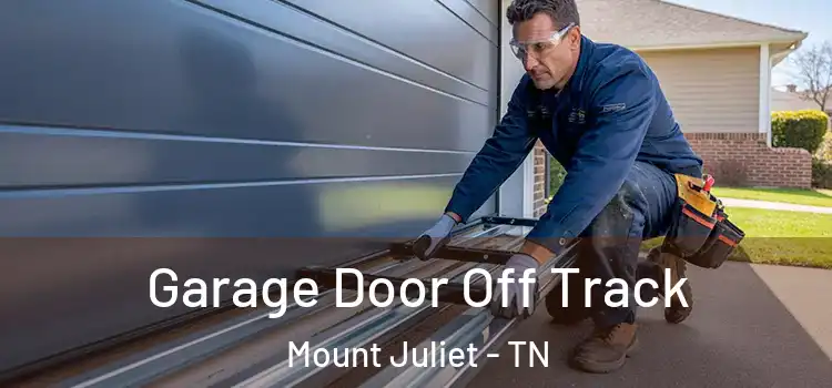  Garage Door Off Track Mount Juliet - TN