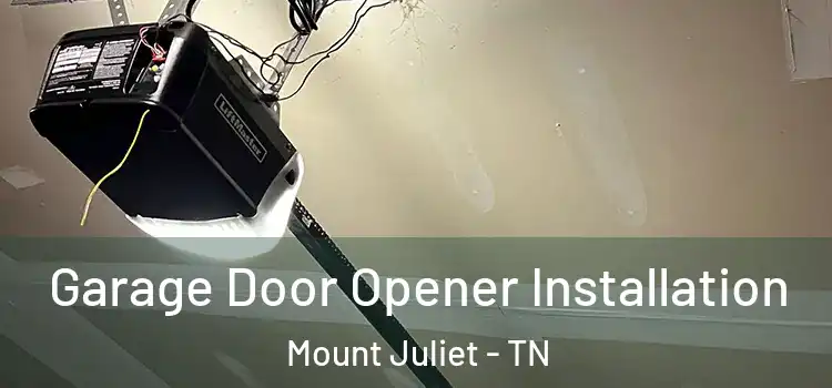  Garage Door Opener Installation Mount Juliet - TN