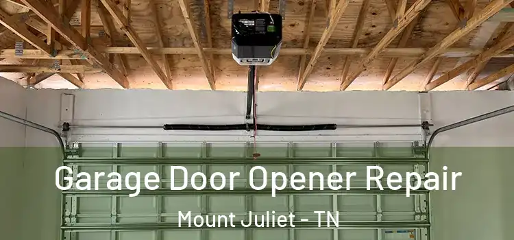  Garage Door Opener Repair Mount Juliet - TN