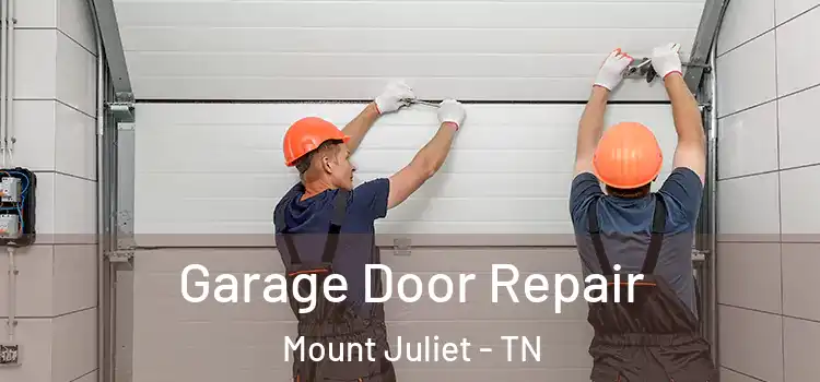  Garage Door Repair Mount Juliet - TN