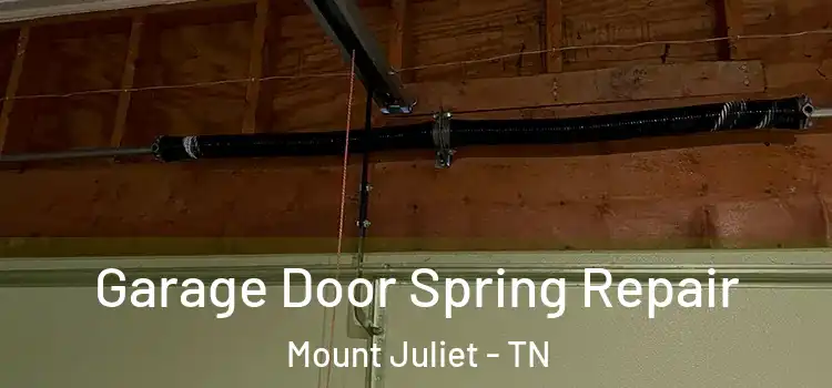  Garage Door Spring Repair Mount Juliet - TN