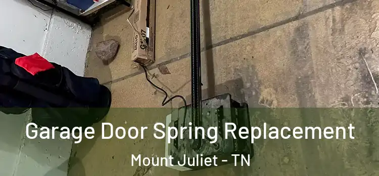  Garage Door Spring Replacement Mount Juliet - TN