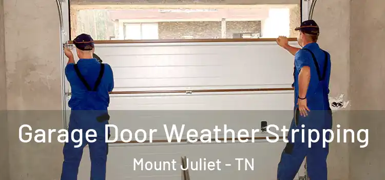  Garage Door Weather Stripping Mount Juliet - TN