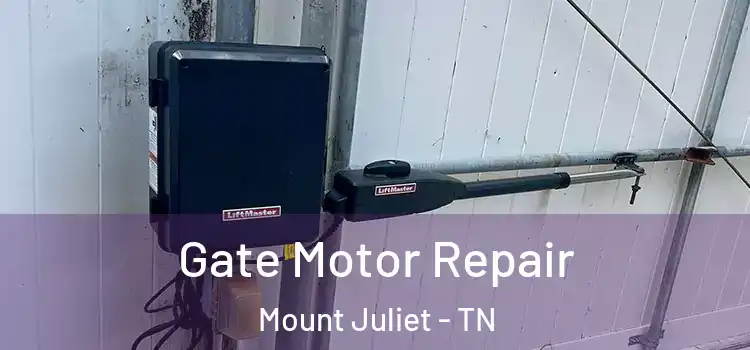  Gate Motor Repair Mount Juliet - TN