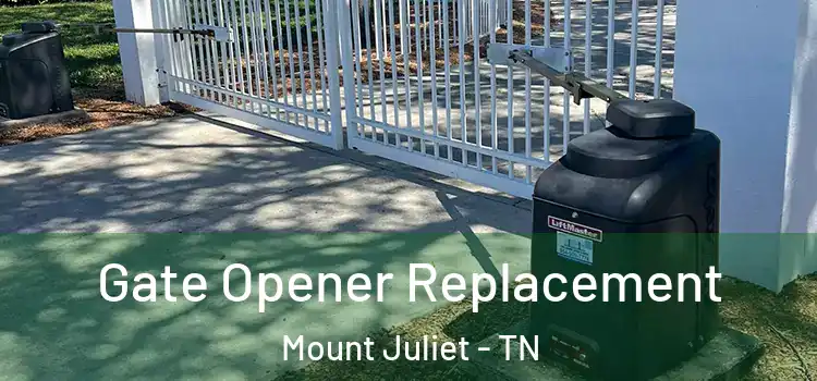  Gate Opener Replacement Mount Juliet - TN