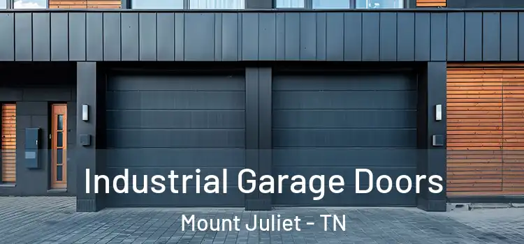  Industrial Garage Doors Mount Juliet - TN
