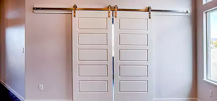 Glass Barn Door with Installation Hardware Kit Mount Juliet