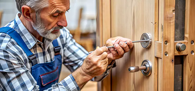 Mortise Replacement Lock Mount Juliet