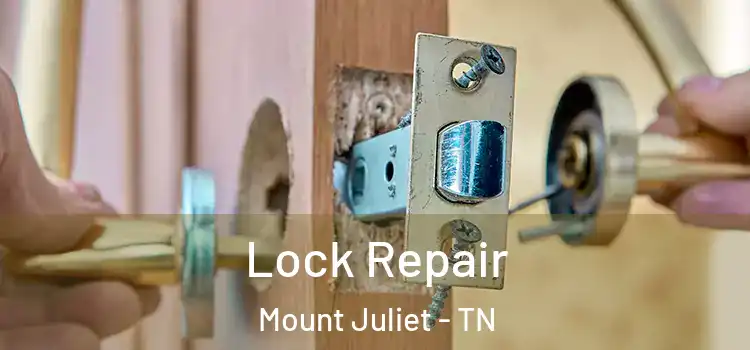  Lock Repair Mount Juliet - TN