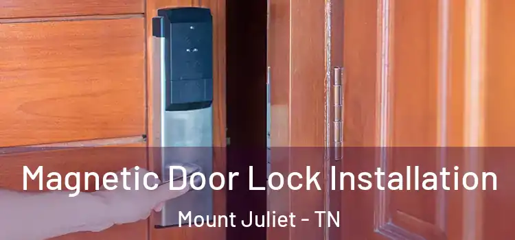  Magnetic Door Lock Installation Mount Juliet - TN