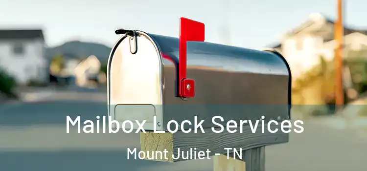  Mailbox Lock Services Mount Juliet - TN