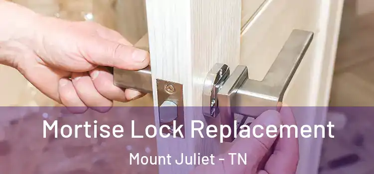  Mortise Lock Replacement Mount Juliet - TN