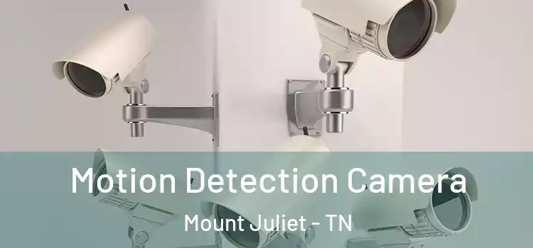  Motion Detection Camera Mount Juliet - TN