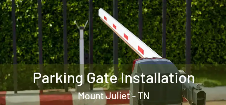  Parking Gate Installation Mount Juliet - TN