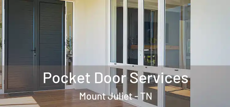  Pocket Door Services Mount Juliet - TN
