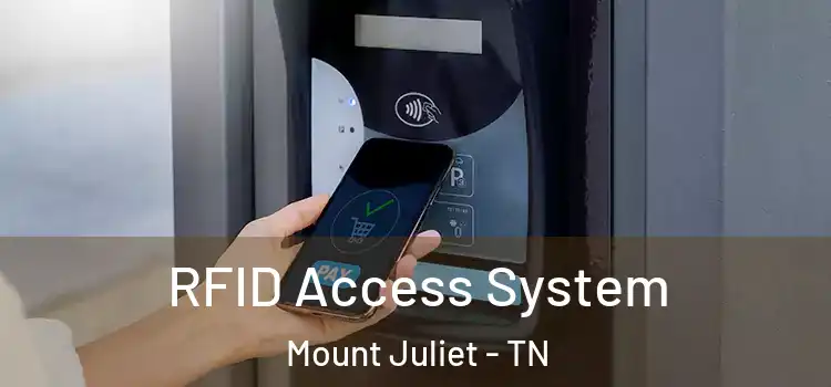  RFID Access System Mount Juliet - TN
