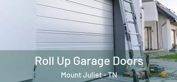 Roll Up Garage Doors Mount Juliet - TN