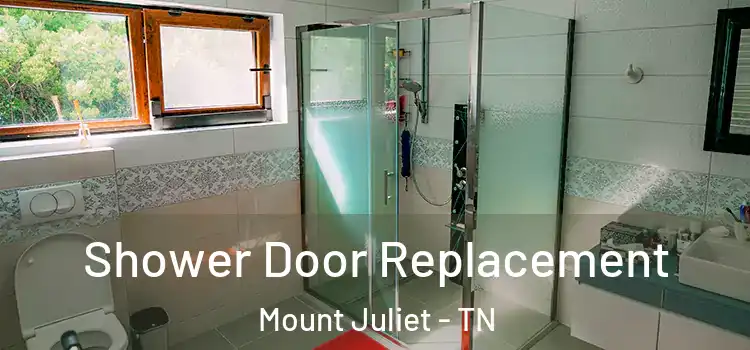  Shower Door Replacement Mount Juliet - TN