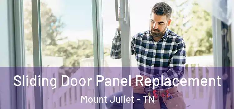  Sliding Door Panel Replacement Mount Juliet - TN