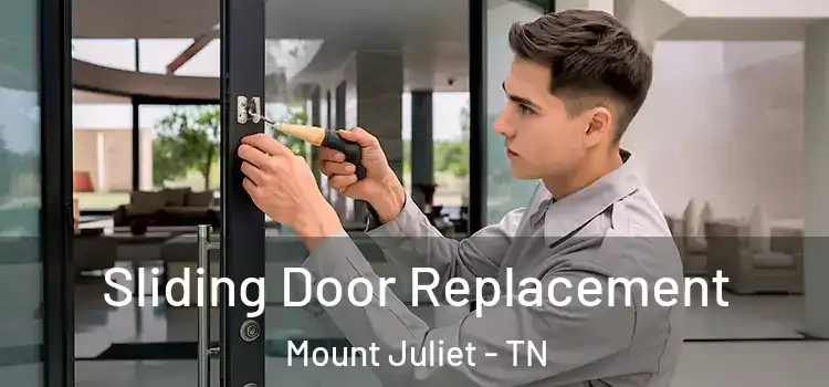  Sliding Door Replacement Mount Juliet - TN