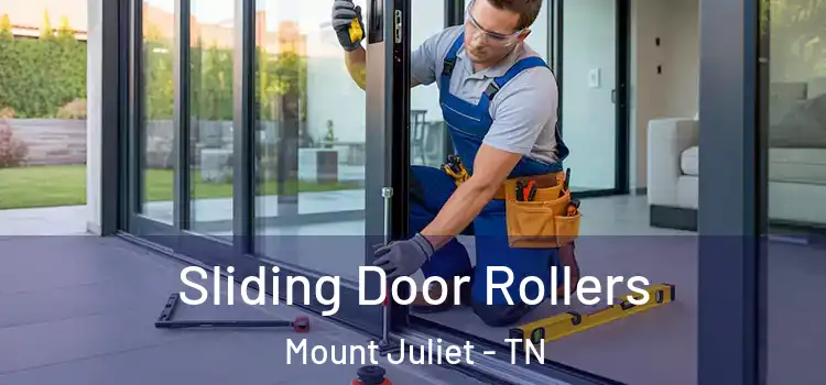  Sliding Door Rollers Mount Juliet - TN