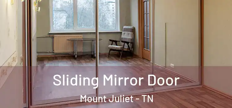  Sliding Mirror Door Mount Juliet - TN