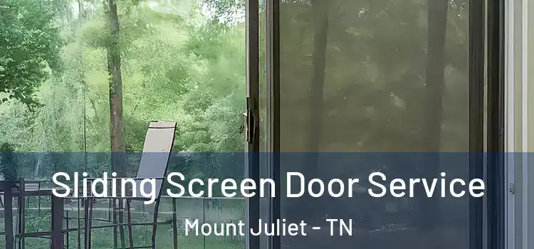  Sliding Screen Door Service Mount Juliet - TN