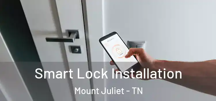  Smart Lock Installation Mount Juliet - TN